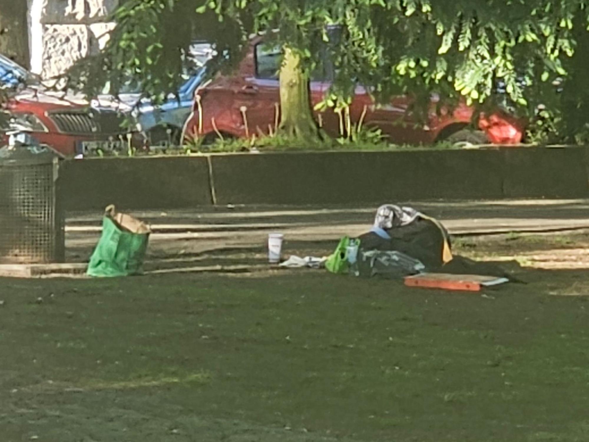 Auf einer Wiese liegen eine große Pizzaschachtel, eine Tasche, Tüten und weiterer Essensmüll liegen neben einer Mülltonne.