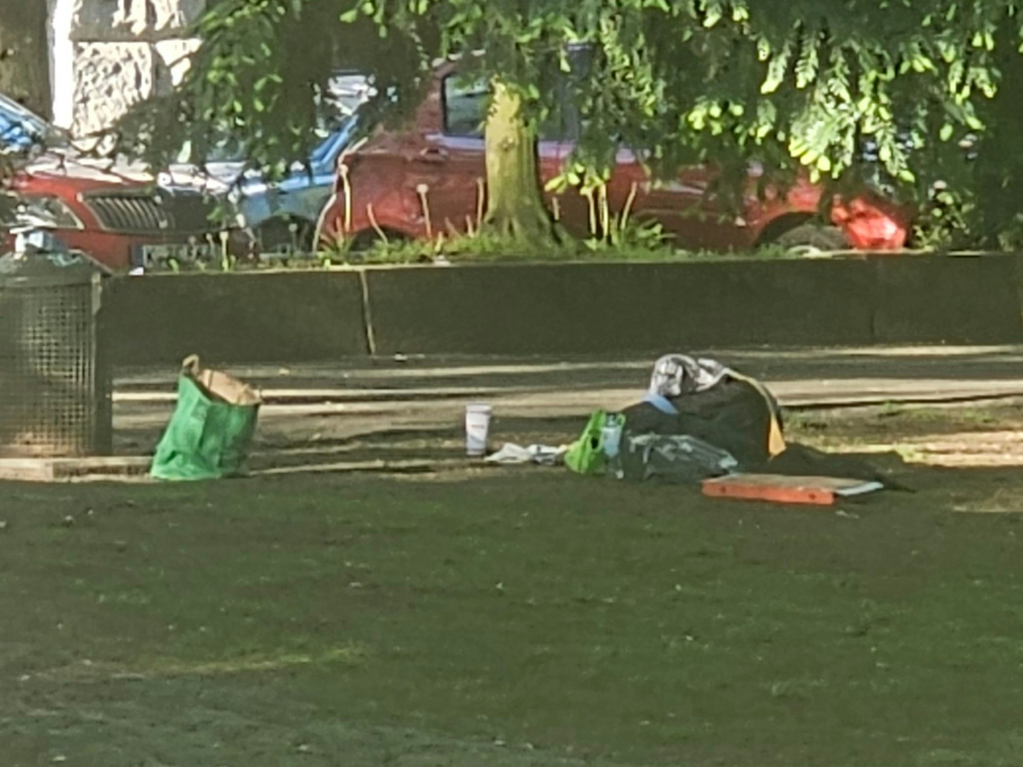 Auf einer Wiese liegen eine große Pizzaschachtel, eine Tasche, Tüten und weiterer Essensmüll liegen neben einer Mülltonne.