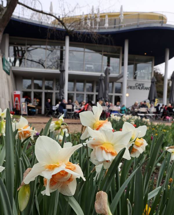 Das Kölner Rheinparkcafé ist in finanzielle Schieflage geraten.