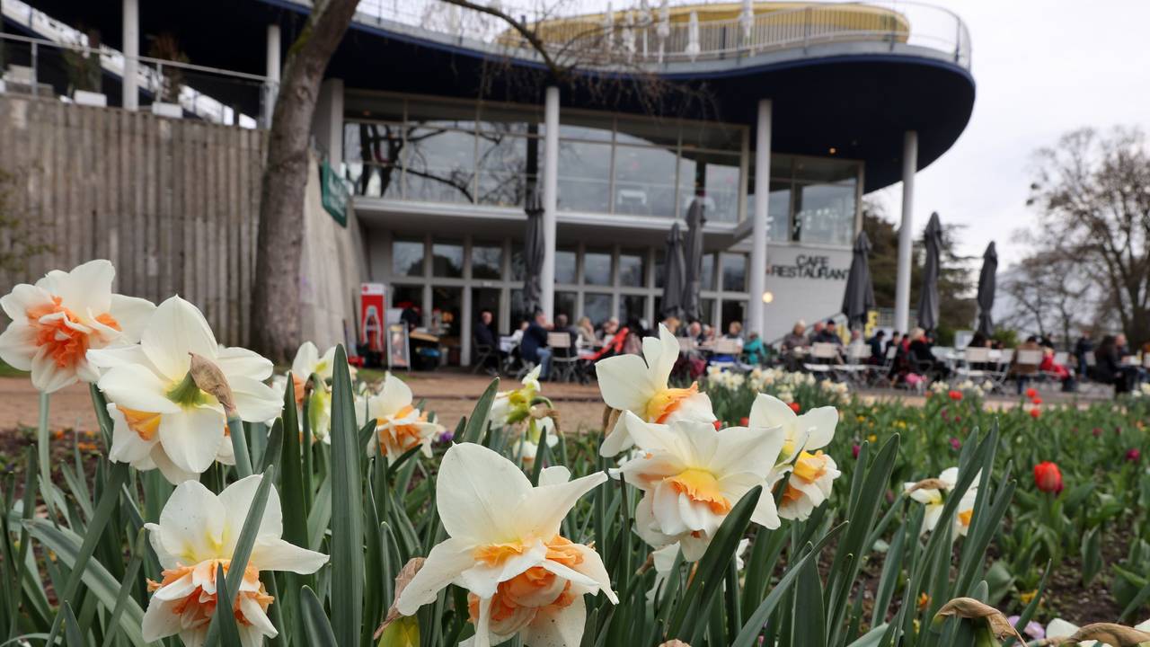 Das Kölner Rheinparkcafé ist in finanzielle Schieflage geraten.