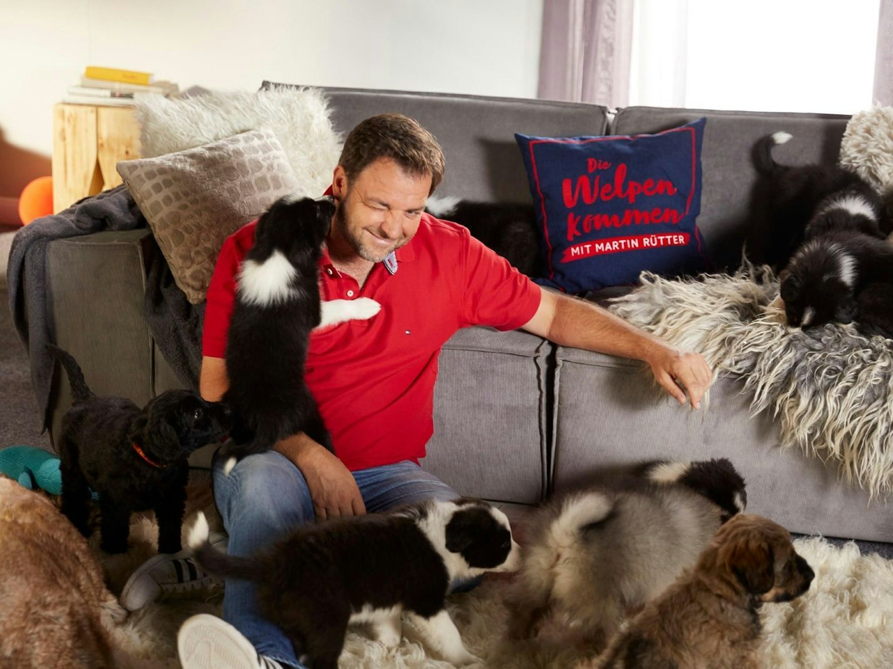 Der bekannte Hundetrainer Martin Rütter präsentiert bei RTL „Die Welpen kommen“. (Bild: RTL / Arya Shirazi)