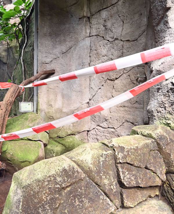 Ein Flatterband hängt an einer Absperrung in einem Zoo.