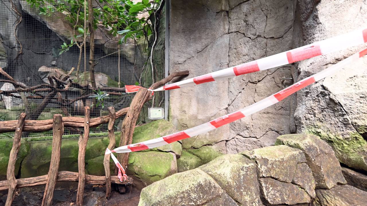 Ein Flatterband hängt an einer Absperrung in einem Zoo.