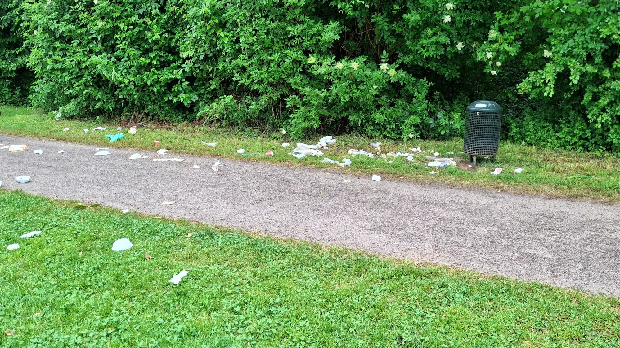 Müll liegt auf einem Gehweg und auf der Wiese.