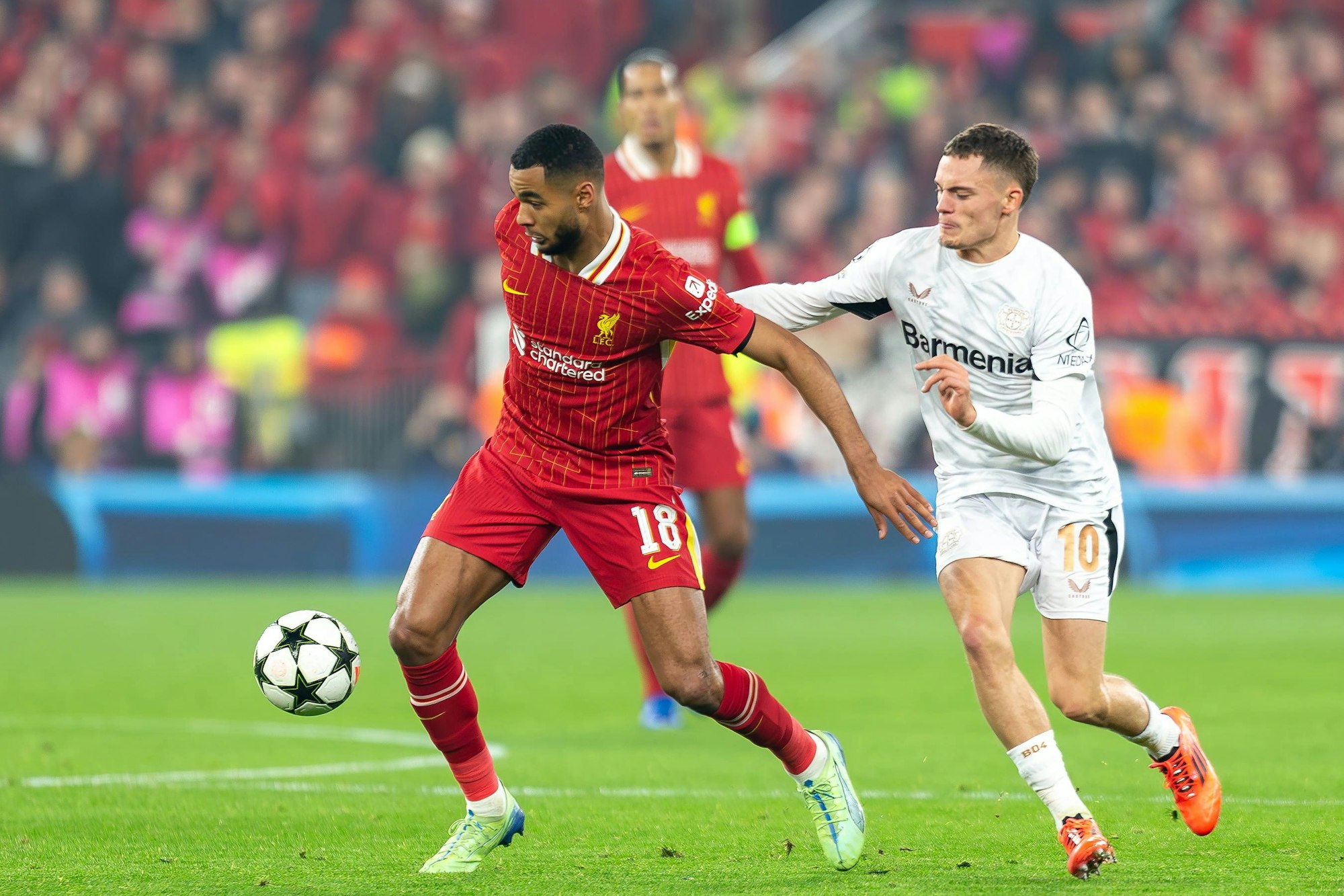 Florian Wirtz im Zweikampf mit Cody Gakpo.