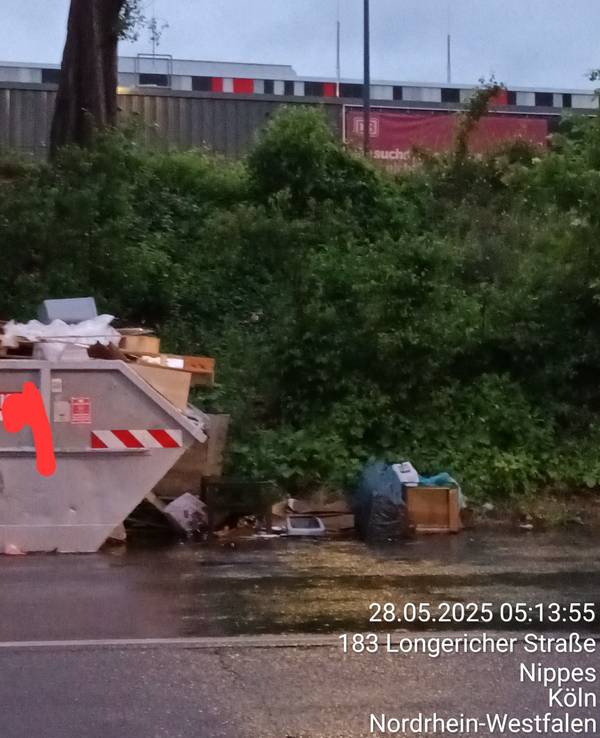 An einer Straße steht ein übervoller Müllcontainer, auf dem Boden liegt ebenfalls Müll.