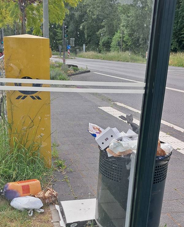 Neben einem vollen Mülleimer liegt Müll, unter anderem ein Pizzakarton, auf dem Boden.