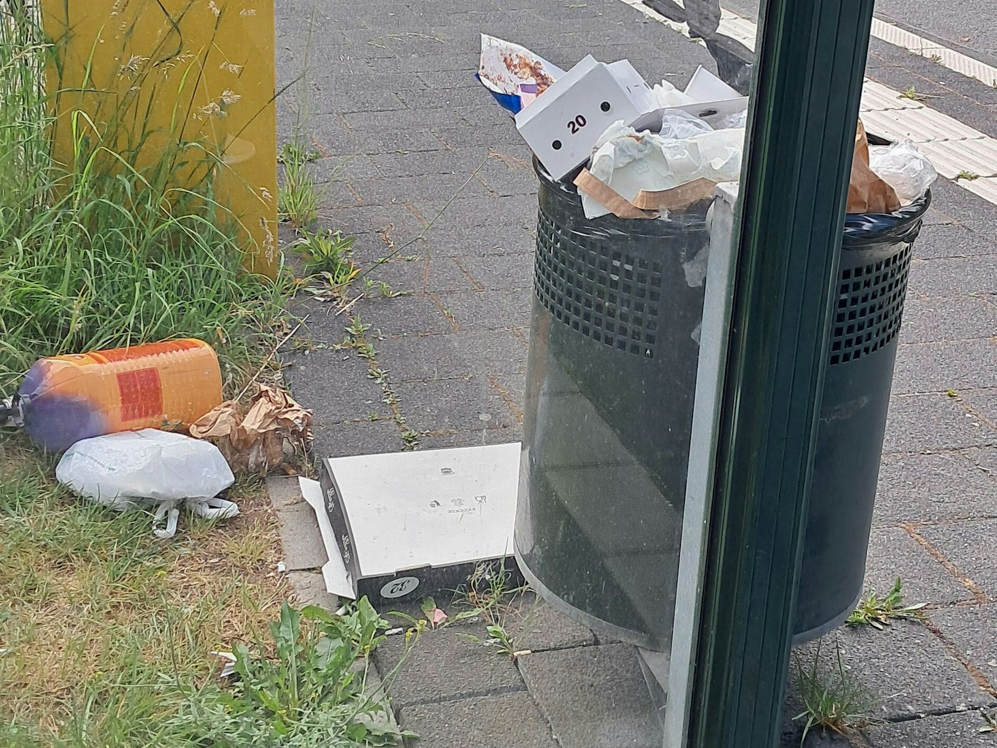 Neben einem vollen Mülleimer liegt Müll, unter anderem ein Pizzakarton, auf dem Boden.