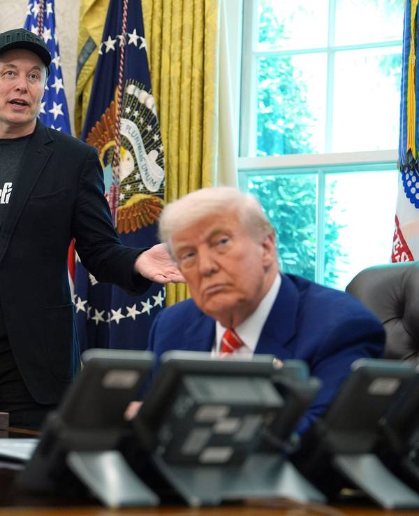 Elon Musk spricht während einer Pressekonferenz mit US-Präsident Donald Trump.