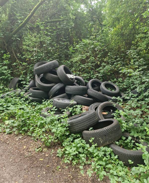 Reifen-Müll liegt im Gebüsch. Diese Müllsünde wurde im Bereich Nordpark entdeckt.