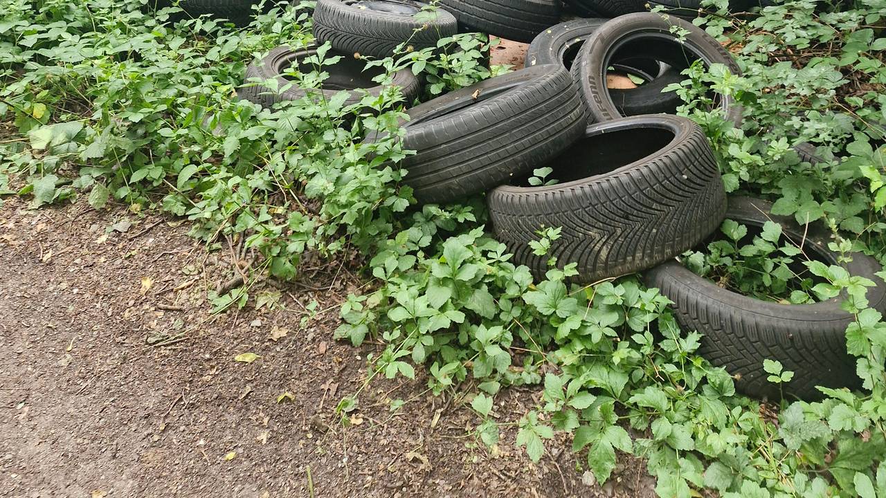 Reifen-Müll liegt im Gebüsch. Diese Müllsünde wurde im Bereich Nordpark entdeckt.