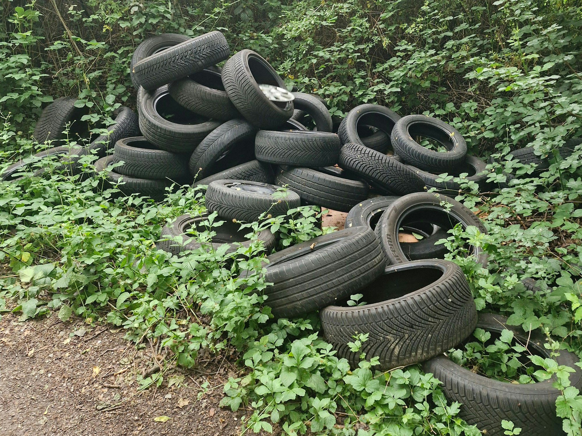 Reifen-Müll liegt im Gebüsch. Diese Müllsünde wurde im Bereich Nordpark entdeckt.
