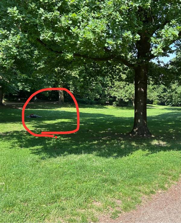 Im Volksgarten liegt ein Mann ausgestreckt auf einer Parkbank, ein anderer auf dem Rasen.