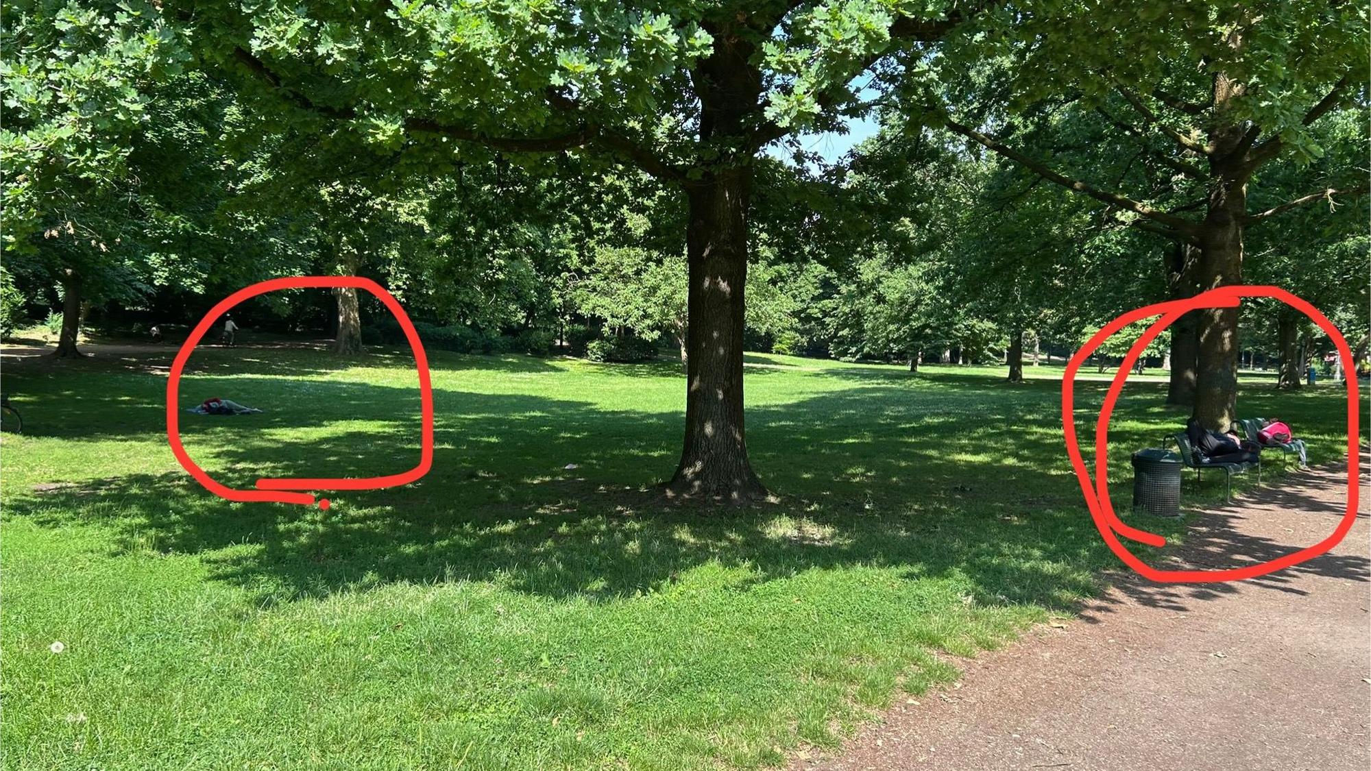 Im Volksgarten liegt ein Mann ausgestreckt auf einer Parkbank, ein anderer auf dem Rasen.