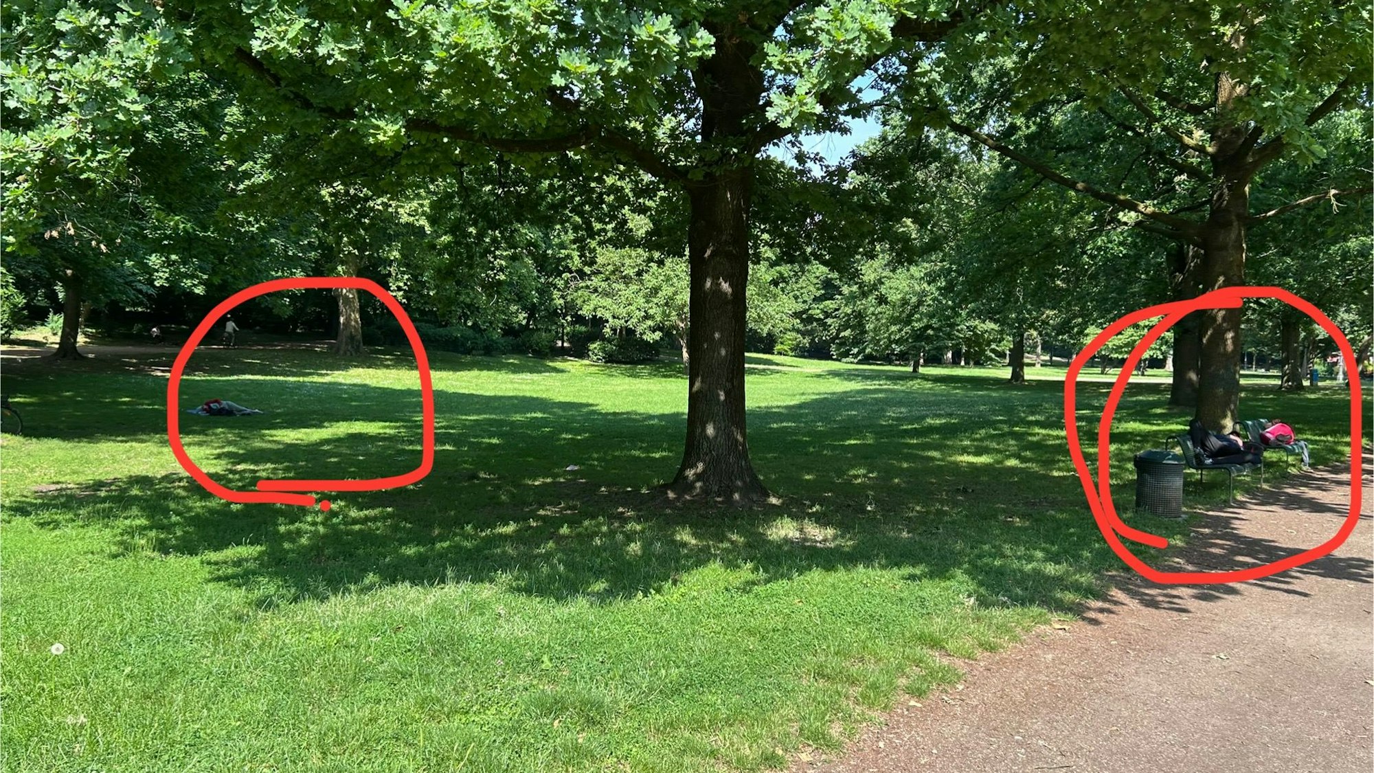 Im Volksgarten liegt ein Mann ausgestreckt auf einer Parkbank, ein anderer auf dem Rasen.