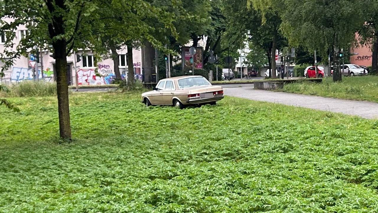 Ein Mercedes om Park