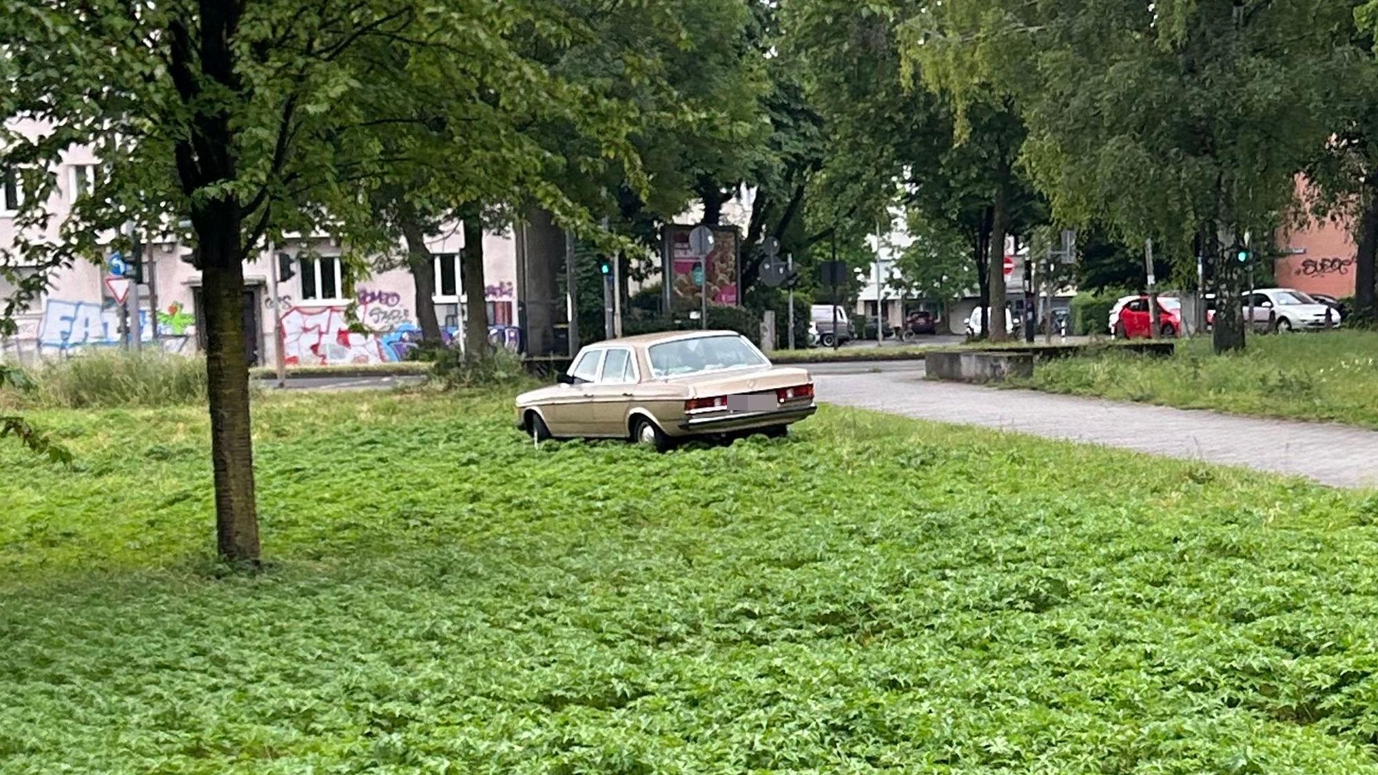 Ein Mercedes om Park