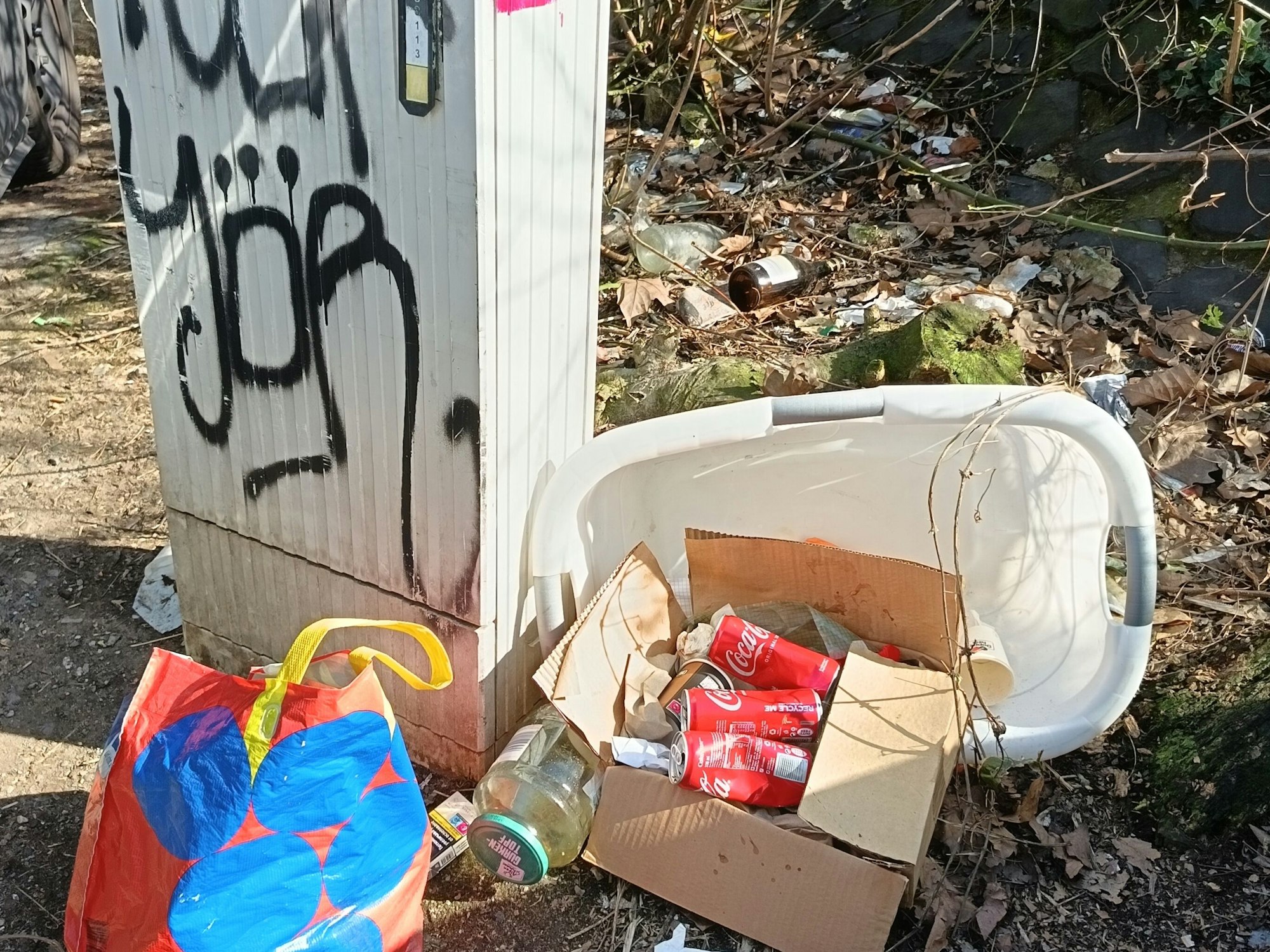 Neben einem Stromkasten liegt Müll, darunter eine Plastikwanne und mehrere Coladosen.
