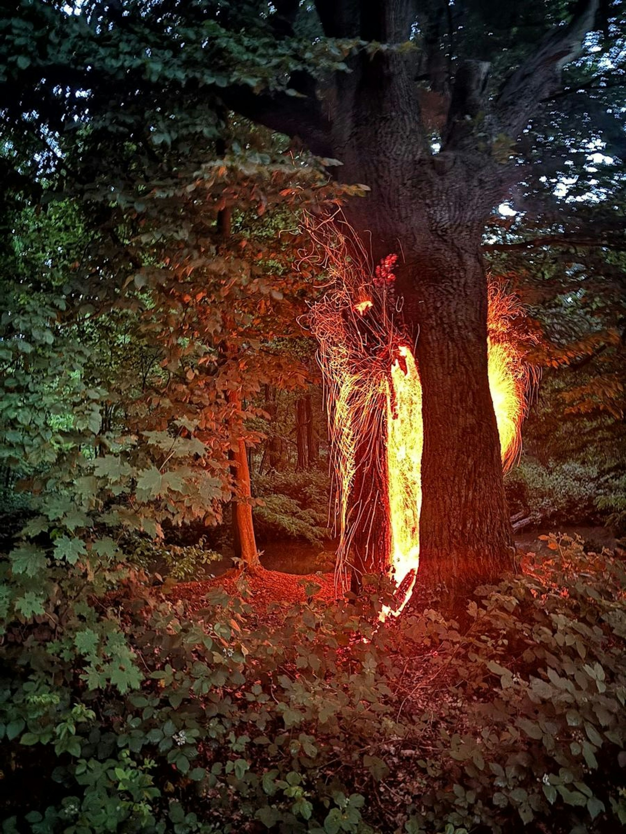 Feuerwehr Neuss bei einem der drei wetterbedingten Einsätze im Stadtgebiet
