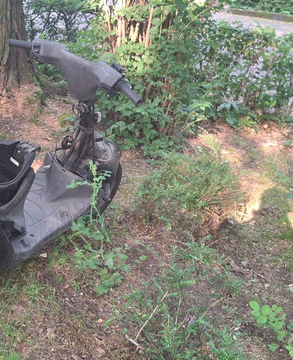 Ein Motorroller ohne Sitz und Frontabdeckung steht in der Natur.