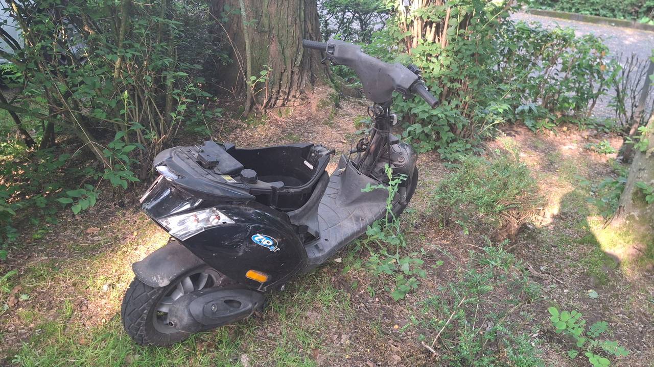 Ein Motorroller ohne Sitz und Frontabdeckung steht in der Natur.