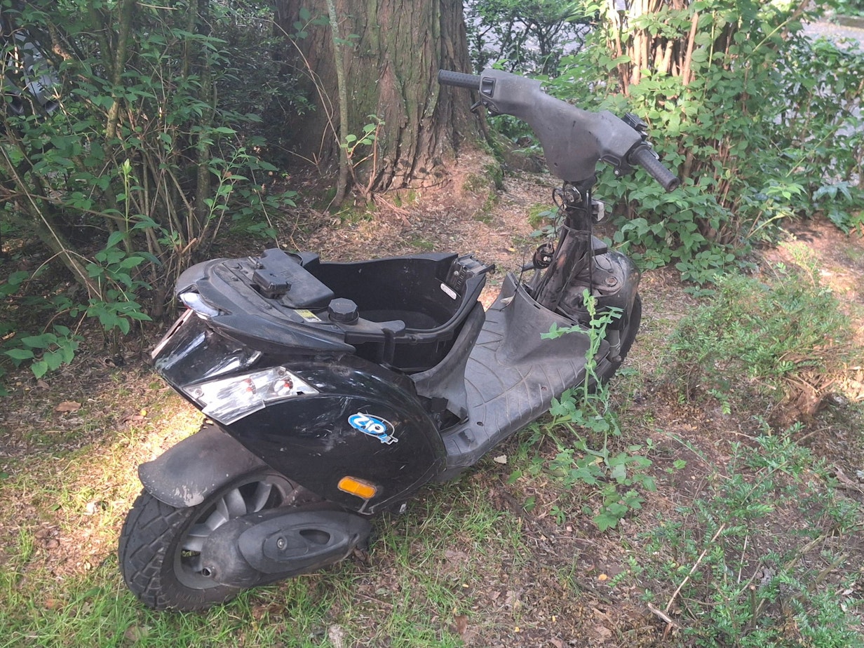 Ein Motorroller ohne Sitz und Frontabdeckung steht in der Natur.