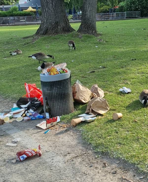Um einen Abfalleimer am Aachener Weiher liegt Müll verstreut.
