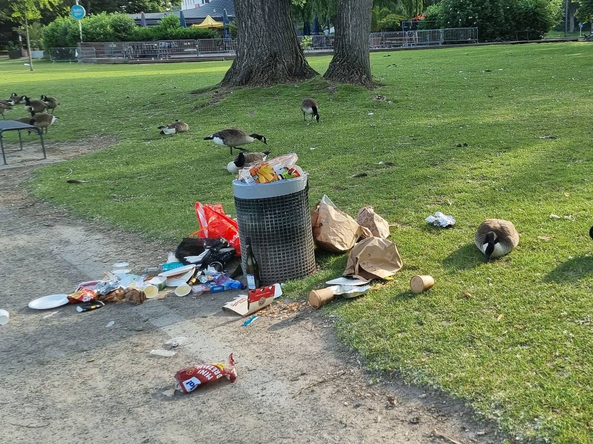 Um einen Abfalleimer am Aachener Weiher liegt Müll verstreut.