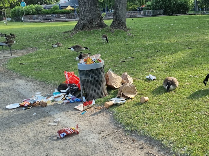 Um einen Abfalleimer am Aachener Weiher liegt Müll verstreut.