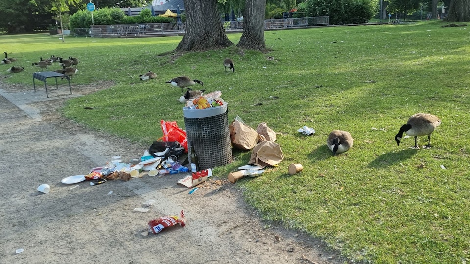 Um einen Abfalleimer am Aachener Weiher liegt Müll verstreut.
