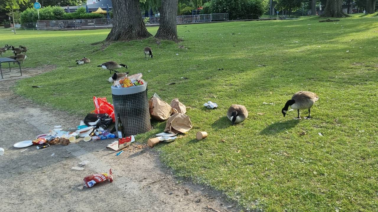 Um einen Abfalleimer am Aachener Weiher liegt Müll verstreut.
