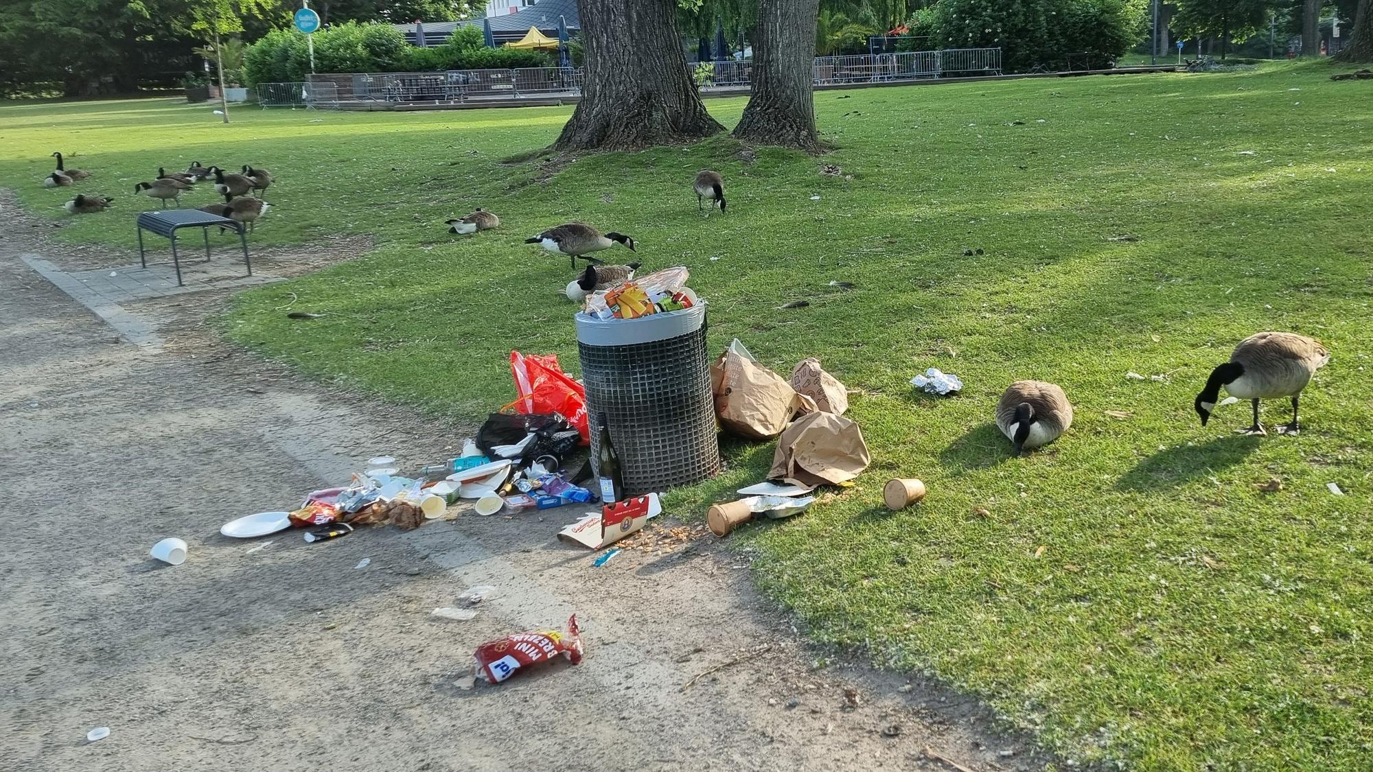 Um einen Abfalleimer am Aachener Weiher liegt Müll verstreut.