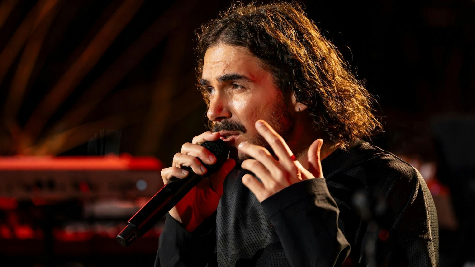 Die Protea für den Song des Abends ging an Boki von der Band ClockClock. (Bild: RTL / Markus Hertrich)