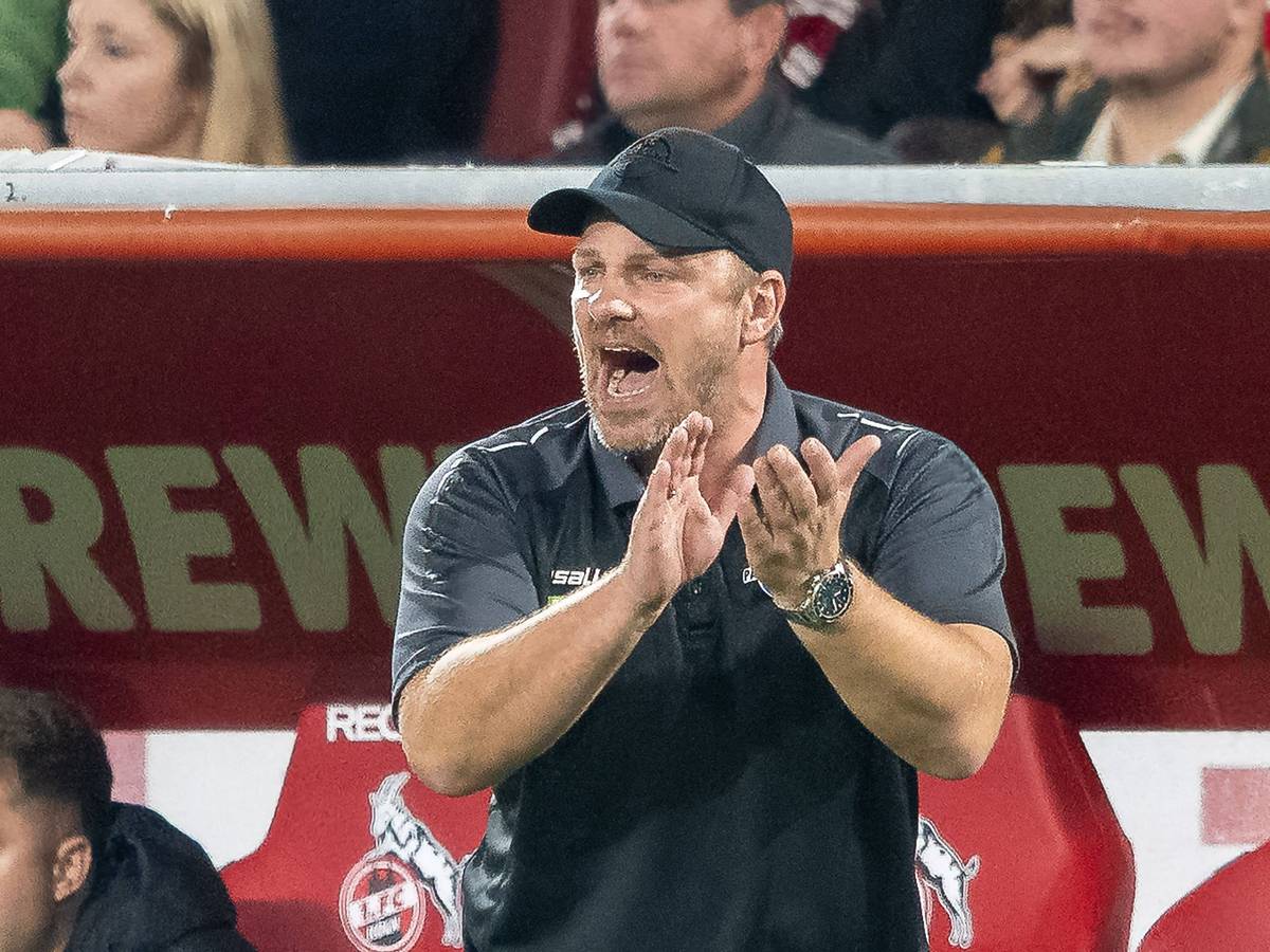 Lukas Kwasniok im Kölner Rhein-Energie-Stadion.