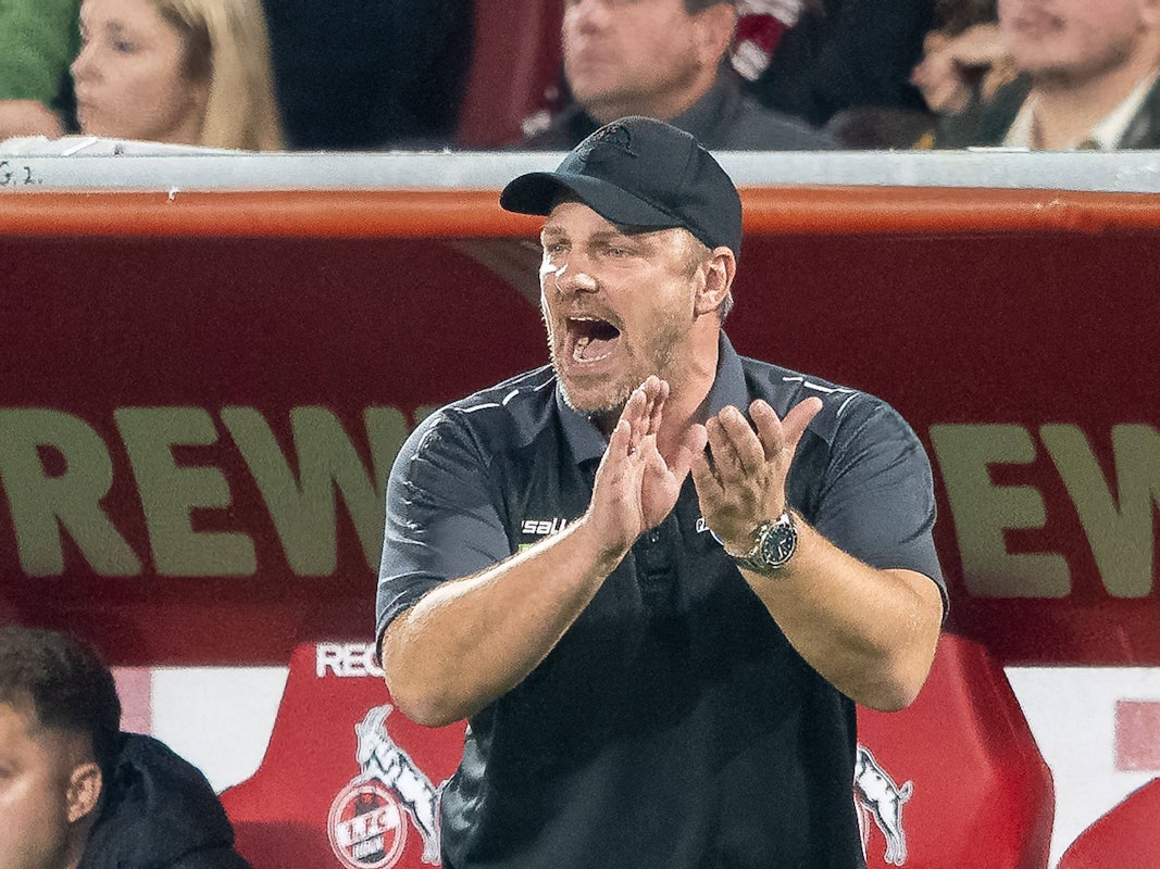 Lukas Kwasniok im Kölner Rhein-Energie-Stadion.