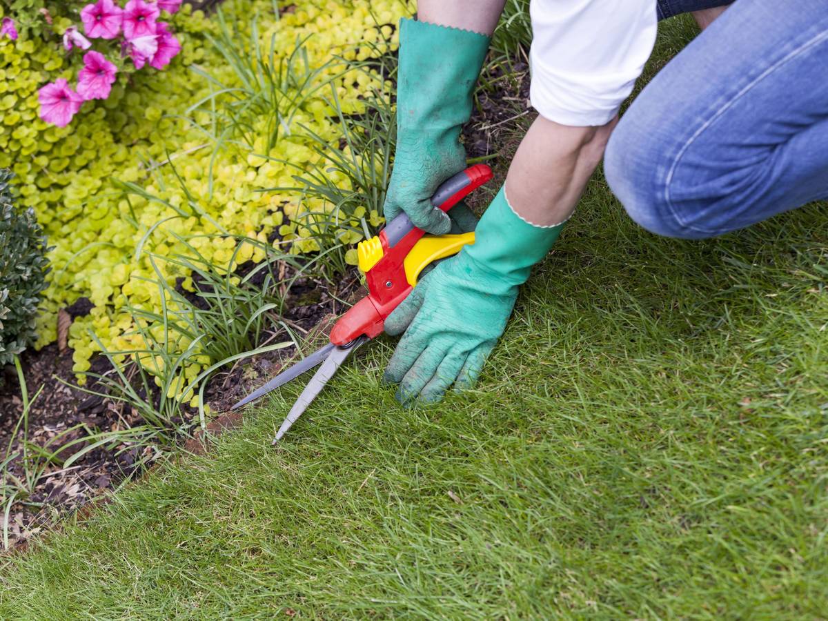 Hände mit Handschuhen und einer Gartenschere bei der Gartenarbeit im Sommer im Freien.