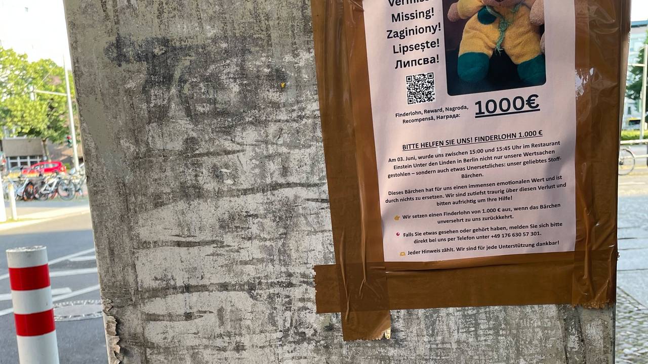 In Berlin läuft derzeit eine breit angelegte Suchaktion nach dem Teddybären „Mini“. 1000 Euro Finderlohn sind auf Steckbriefen ausgesetzt.