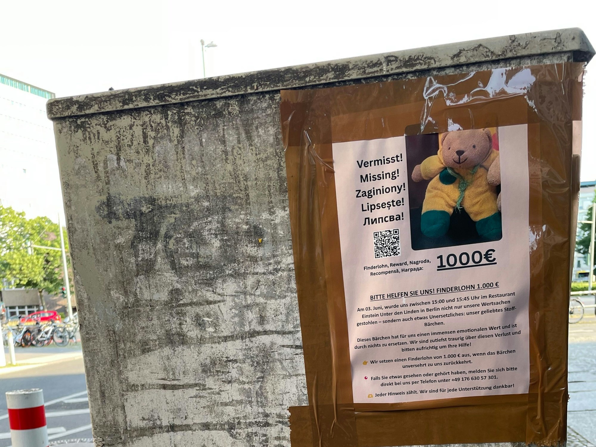 In Berlin läuft derzeit eine breit angelegte Suchaktion nach dem Teddybären „Mini“. 1000 Euro Finderlohn sind auf Steckbriefen ausgesetzt.