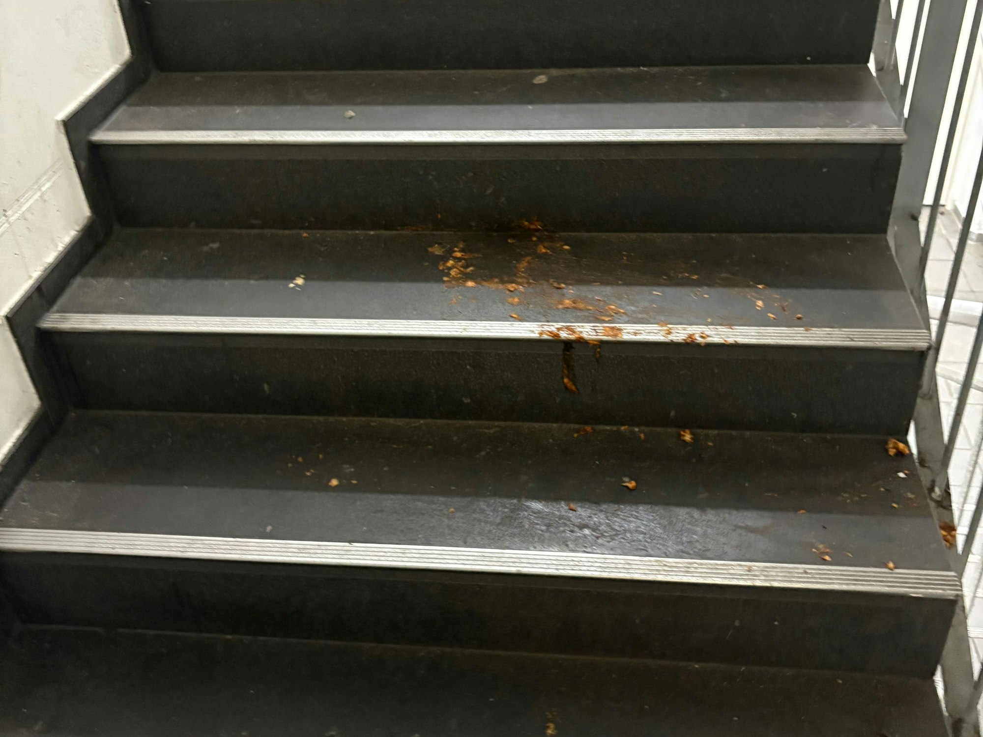 Besucher und Besucherinnen müssen balancieren, um Dreck, Erbrochenes und Ausscheidungen zu umgehen.