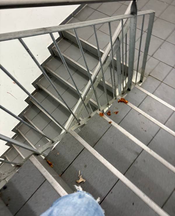 Einfach nur ekelhaft. Erbrochenes und andere Körperflüssigkeiten finden sich im Treppenhaus des Parkhauses an der Cäcilienstraße.