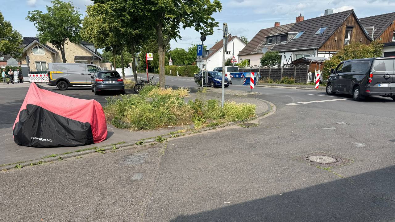 An der Ecke eines Platzes wachsen Gras und Unkraut, ein paar Meter weiter stehen entlang des Platzes mehrere große Bäume.
