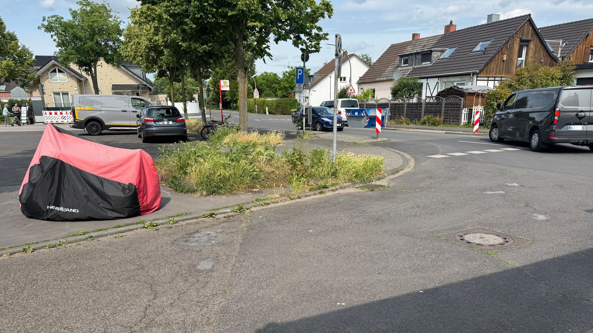 An der Ecke eines Platzes wachsen Gras und Unkraut, ein paar Meter weiter stehen entlang des Platzes mehrere große Bäume.