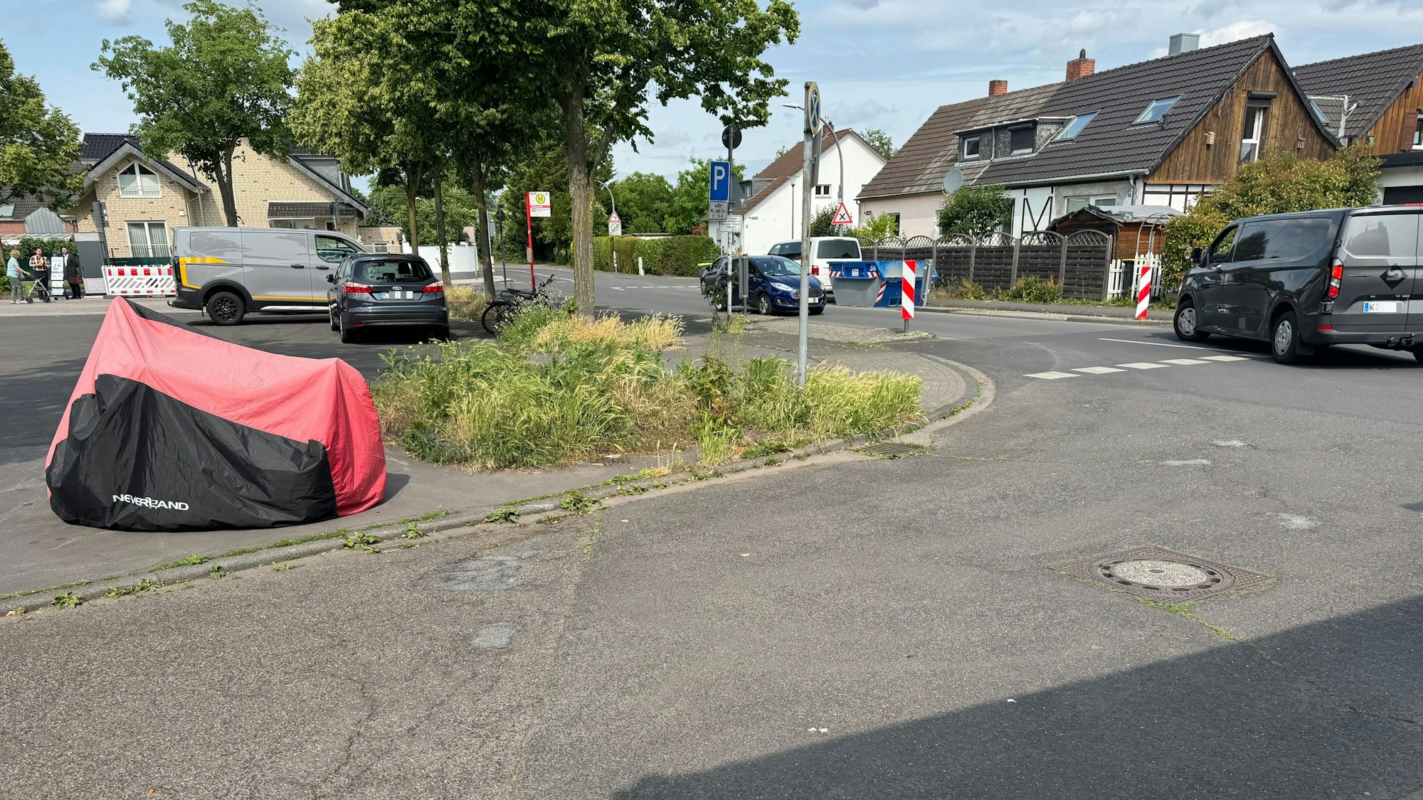 An der Ecke eines Platzes wachsen Gras und Unkraut, ein paar Meter weiter stehen entlang des Platzes mehrere große Bäume.