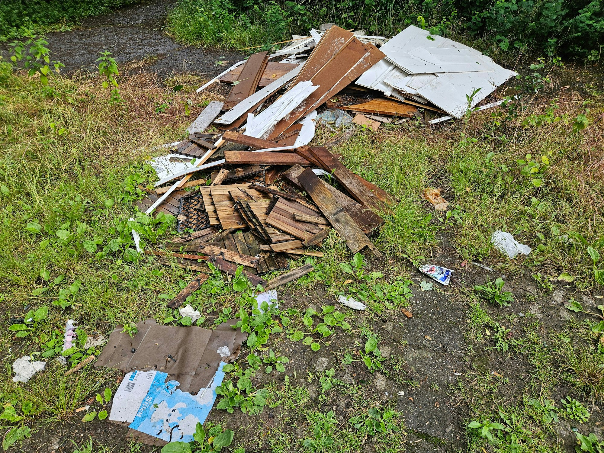 Holzlatten liegen auf einer Wiese.