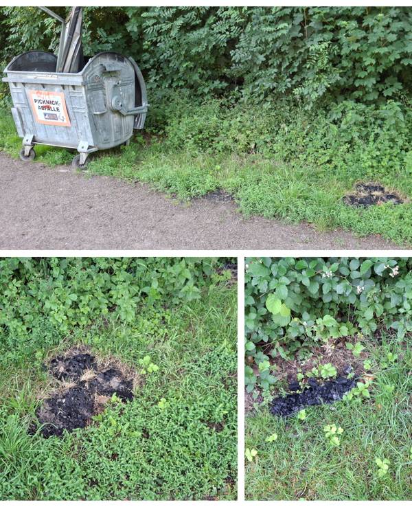 Ein Haufen Grillkohle liegt im Grünstreifen neben einem Weg, nur wenige Meter weiter seht ein Müllcontainer mit der Aufschrift Picknick-Abfälle.