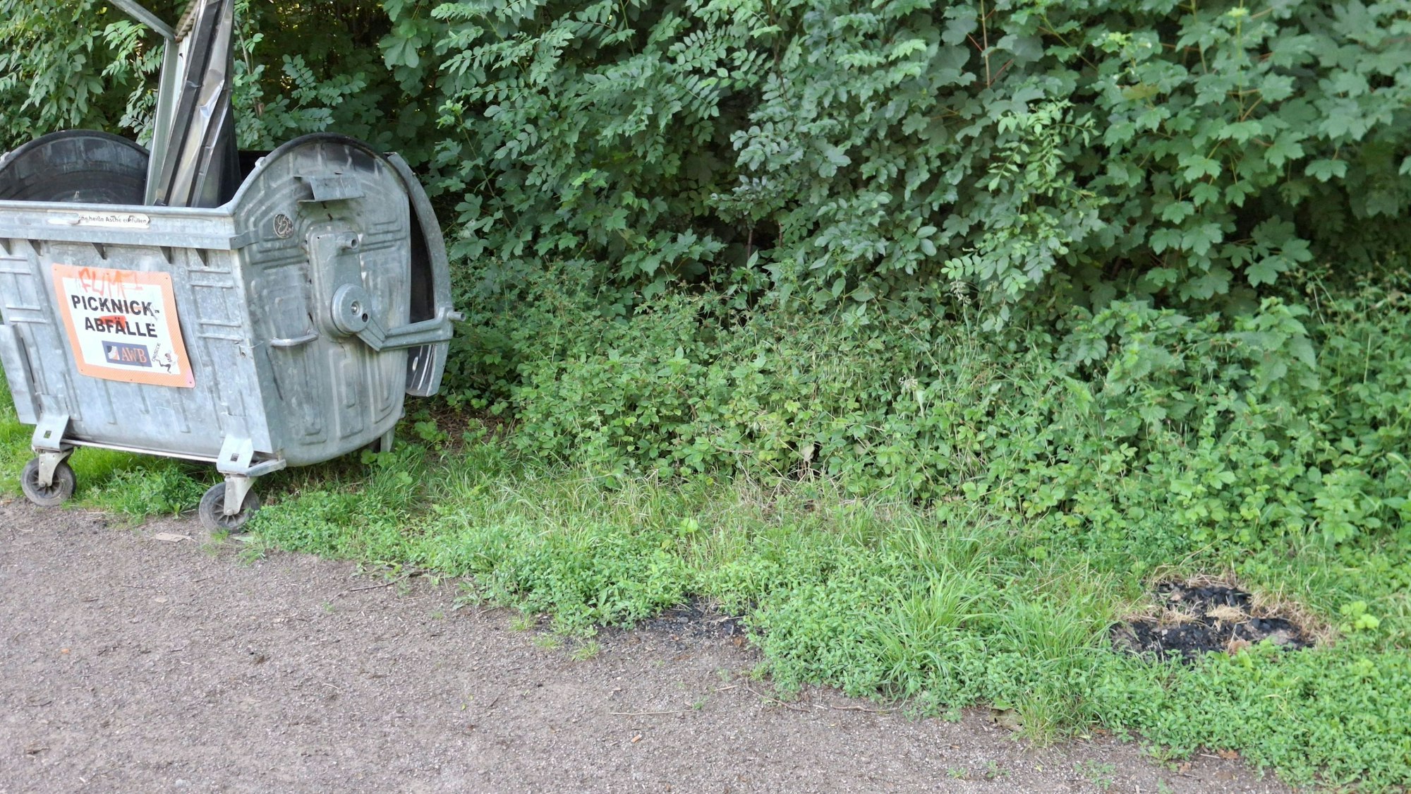 Ein Haufen Grillkohle liegt im Grünstreifen neben einem Weg, nur wenige Meter weiter seht ein Müllcontainer mit der Aufschrift Picknick-Abfälle.
