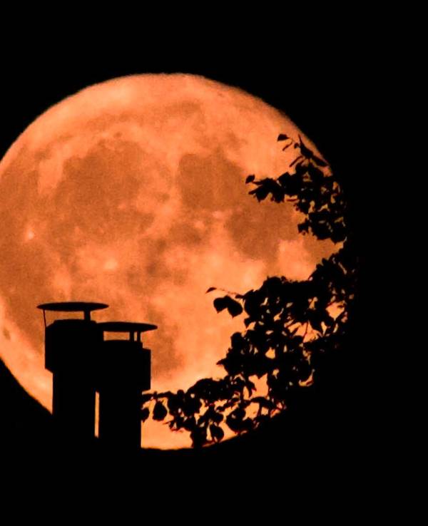 Blick auf einen Vollmond