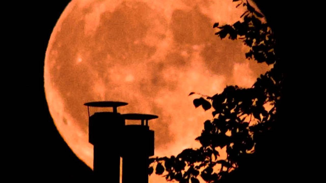 Blick auf einen Vollmond