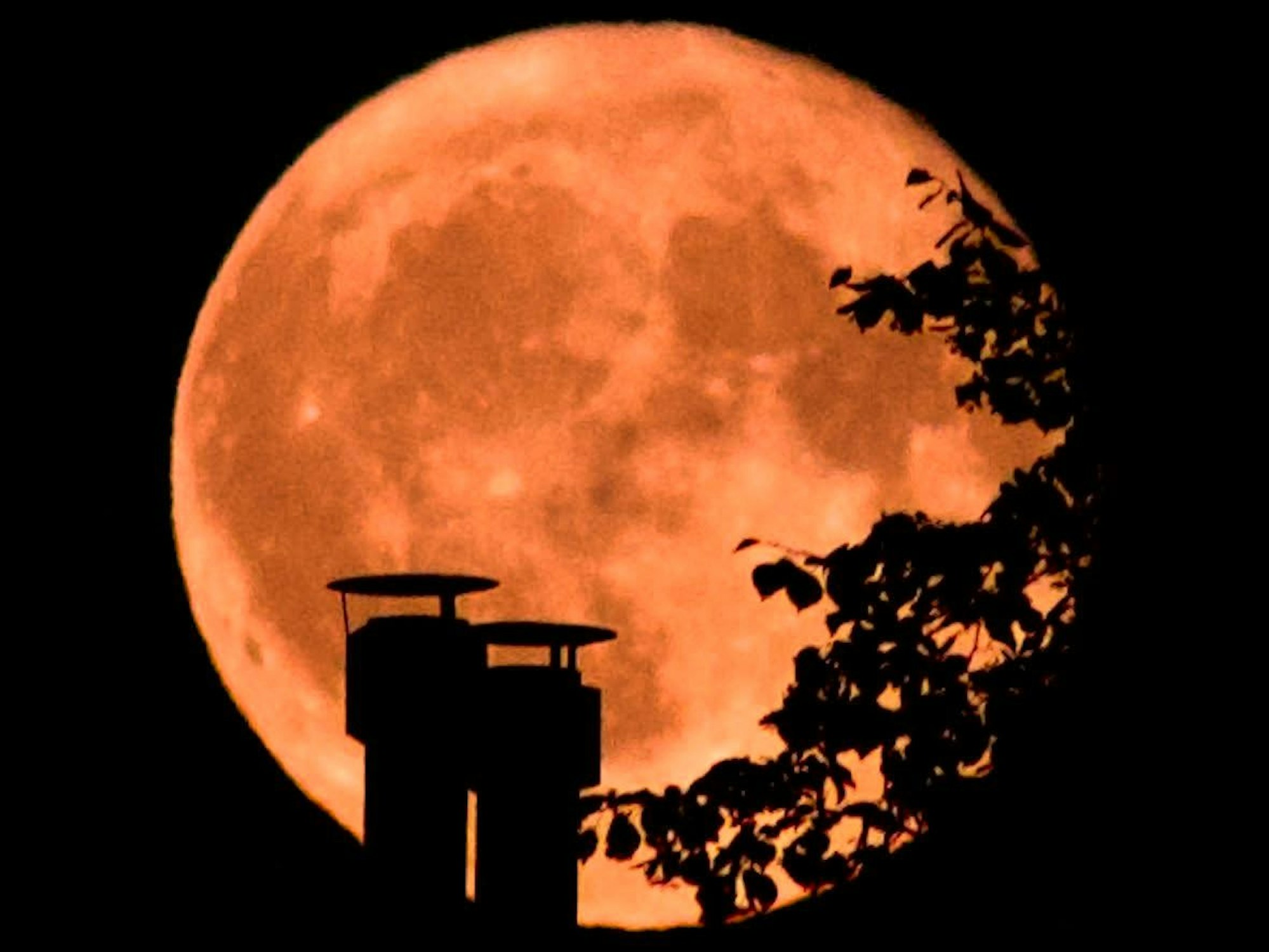 Blick auf einen Vollmond