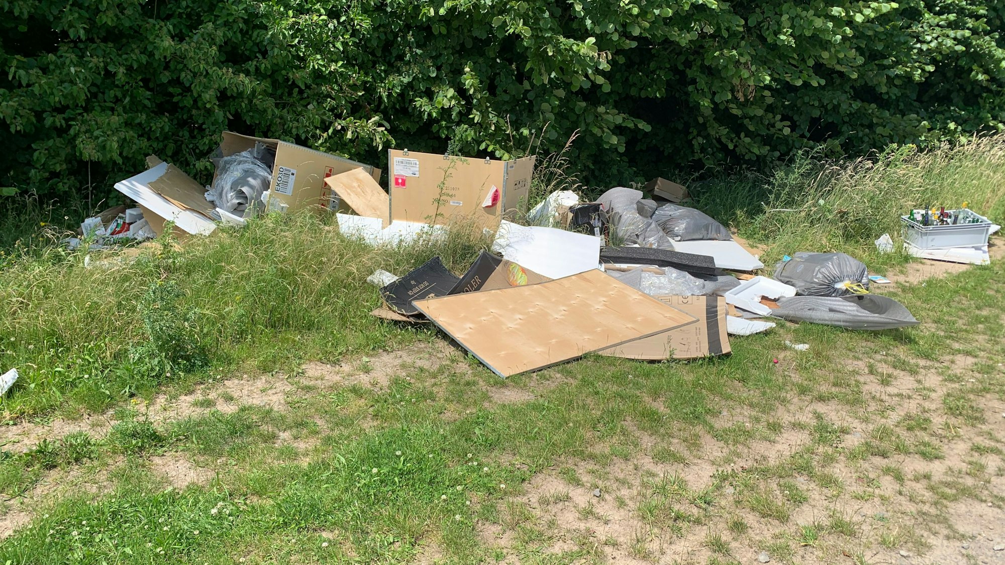 Müll am Fühlinger See